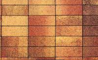 Плитка тротуарная ВЫБОР Паркет 4П.6, Листопад Осень коричнево-красно-желтый гладкий, 180*60*60 мм