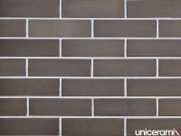 Клинкерная фасадная плитка рядовая UniCeramix UX-24 grey, 240*71*11 мм