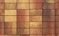 Плитка тротуарная ВЫБОР ЛА-Линия 5П.8 Листопад гладкий Осень коричнево-красно-желтый, 600*300*80 мм