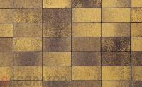 Плитка тротуарная ВЫБОР ЛА-Линия 5П.8 Листопад гладкий Янтарь коричнево-желтый, 600*300*80 мм