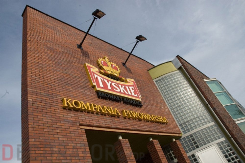 Кирпич клинкерный пустотелый LHL Klinkier i AKA (CRH) Rustika PERFOROWANA рельефный, 250*120*65 мм в Воронеже