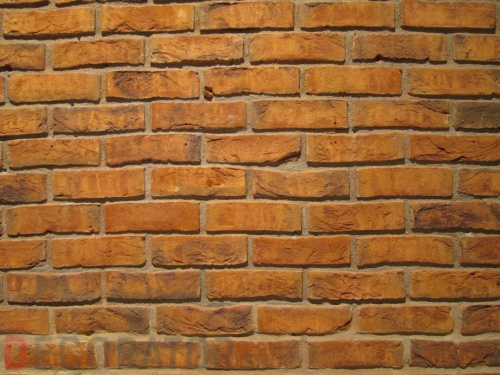 Кирпич облицовочный ручной формовки Terca Kastanjebruin, 215*102*65 мм в Воронеже