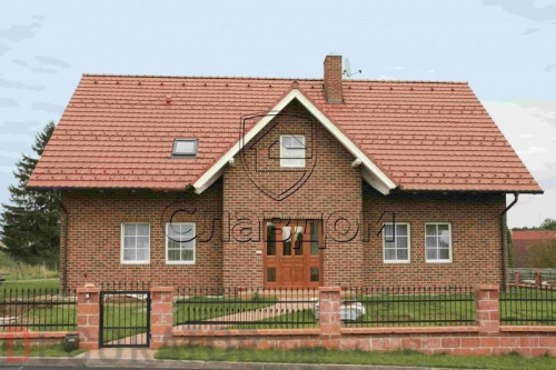 Плитка ручной формовки Muhr Nr 7, Westfalisch-bunt, 215*65*22-25 мм в Воронеже