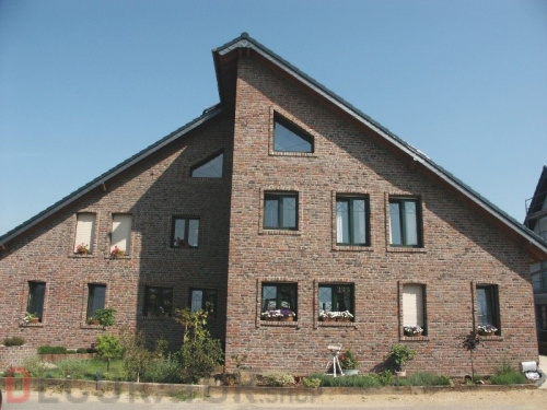 Кирпич облицовочный ручной формовки Terca Ringoven Paarsblauw, 208*98*48 мм в Воронеже